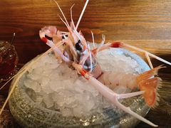 -斯普汇生蚝牛排馆(中骏世界城店)