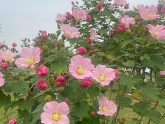 -盘龙城国家考古遗址公园