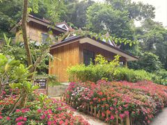 -野象谷景区