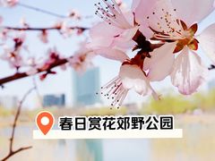 -大兴滨河森林公园