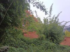 -富乐山