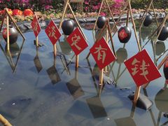 -盈香心动乐园