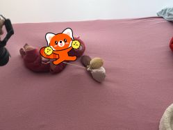 -玛瑞莎孕婴童摄影到家拍