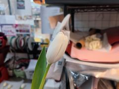-花匠花艺鲜花店(尹山湖店)
