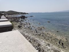 -养马岛旅游度假区