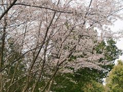 -南京市江宁方山
