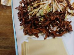 -盛德利食府 天津菜(河西店)