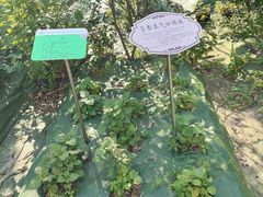 -广东中医药博物馆