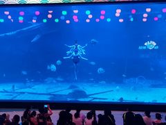 -烟台海昌鲸鲨海洋公园