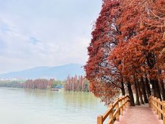 -星湖旅游景区七星岩