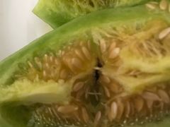 -百果园(奕淳公寓店)