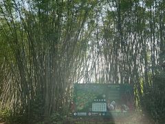 -海南热带野生动植物园
