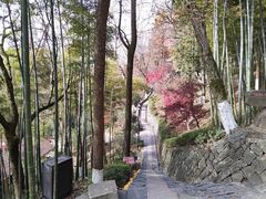 -莫干山风景区