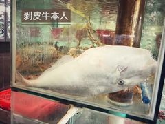剥皮牛鱼生-寻味顺德·南记酒家·传统顺德菜·鱼生(广源路店)