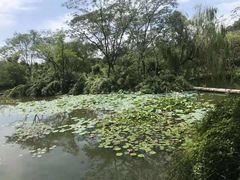 -绍兴鉴湖君澜大酒店