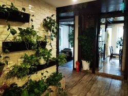 -青青一生美皮肤管理