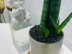 -九秋茶铺(三里屯店)