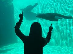 -西雅图水族馆