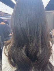 -藤野造型烫染优质