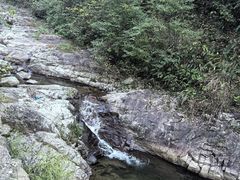 -天目山大树王景区