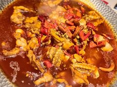 -美蛙四季(望京凯德茂店)