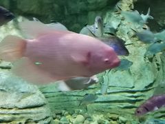 -波塞冬旅游度假区