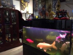 iphone_upload_pic-周忆刺青原创设计定制