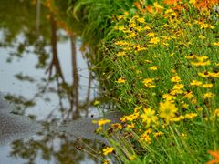 -天津东丽湖风景区