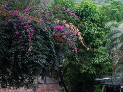 -火炉山森林公园