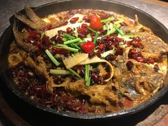 -老板恋上鱼(恒隆广场店)