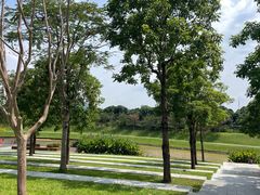 -光明小镇欢乐田园