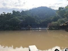 -西双版纳原始森林公园