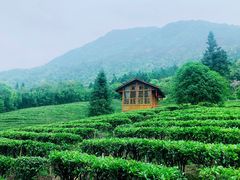 -姑婆山旅游区