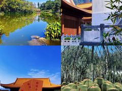 -深圳市中科院仙湖植物园