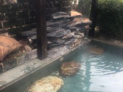-崇阳三特浪口温泉