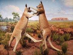 -陕西自然博物馆