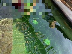 -白桦林温泉谷