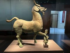 -广西壮族自治区博物馆