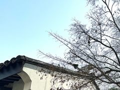 -巡塘古镇