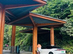 -山王坪喀斯特国家生态公园