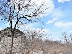 -阳台山自然风景区