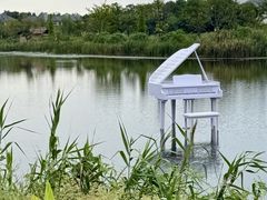 -杭州湾海上花田景区