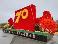 -荷兰花海