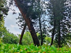 -人民公园(罗湖区)