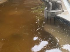 -碧水湾温泉