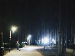 -仁和公园(顺义区)