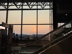 -顺华粉馆(桃园南路店)