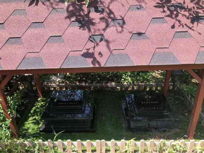 天使城宠物墓园-"焚烧小狗 四百元 地方比较好找 就在京开.