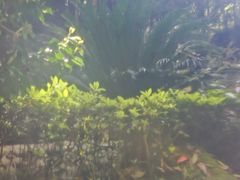 -明月山天沐温泉度假村