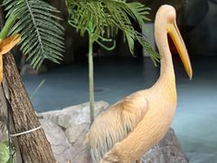 -海合安武汉极地海洋公园